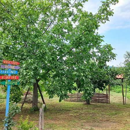 Veli Guest House • Საოჯახო Სასტუმრო Ველი Zemo Alvani Экстерьер фото