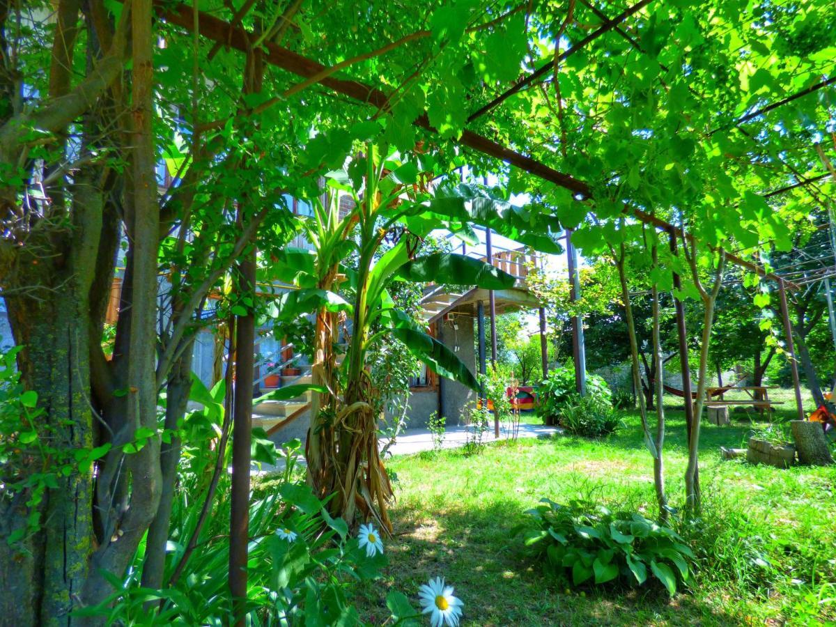 Veli Guest House • Საოჯახო Სასტუმრო Ველი Zemo Alvani Экстерьер фото