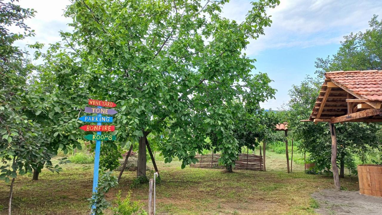 Veli Guest House • Საოჯახო Სასტუმრო Ველი Zemo Alvani Экстерьер фото