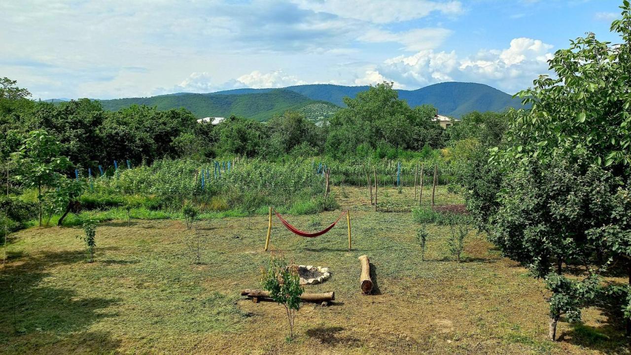 Veli Guest House • Საოჯახო Სასტუმრო Ველი Zemo Alvani Экстерьер фото