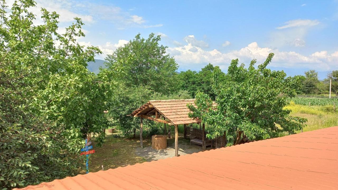 Veli Guest House • Საოჯახო Სასტუმრო Ველი Zemo Alvani Экстерьер фото